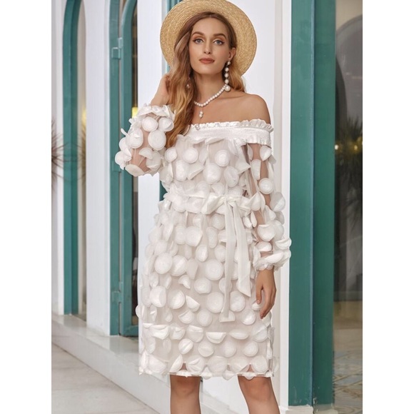 White Rose Petals Sheer Mesh Off Shoulder Dress - Picture 2 of 4